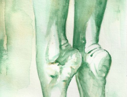 Dalle radici alla corteccia – I nostri piedi 27 02 20